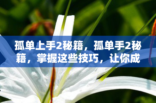 让你成为游戏高手图片