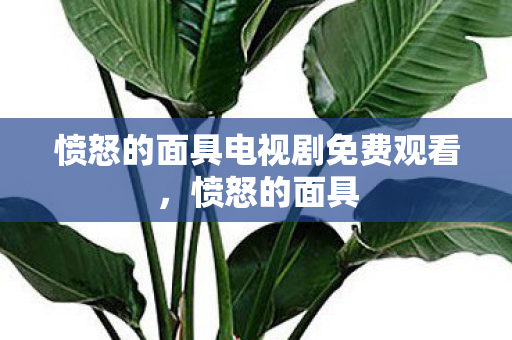 愤怒的面具电视剧免费观看图片