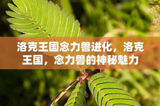 洛克王国念力兽进化图片