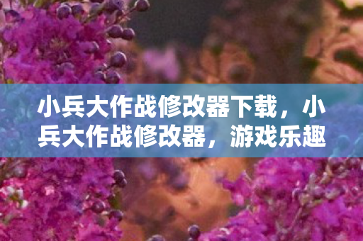 小兵大作战修改器下载图片