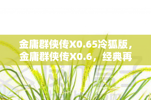 金庸群侠传X0图片