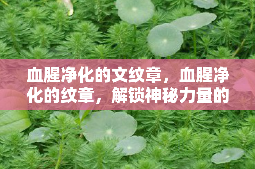 血腥净化的文纹章，血腥净化的纹章，解锁神秘力量的钥匙