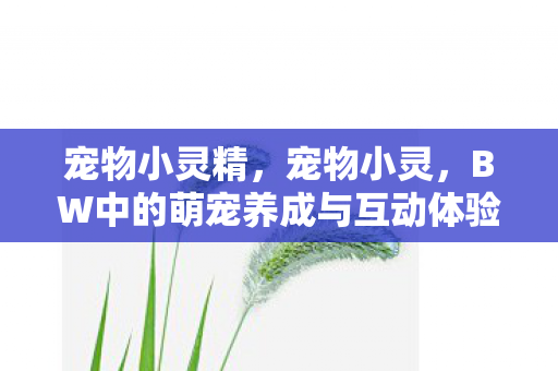 BW中的萌宠养成与互动体验图片