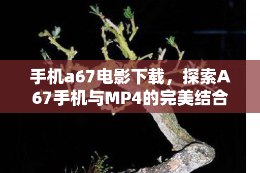 探索A67手机与MP4的完美结合图片