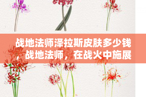 战地法师泽拉斯皮肤多少钱图片