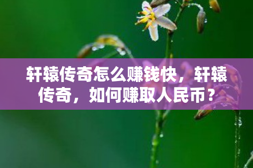 轩辕传奇怎么赚钱快图片