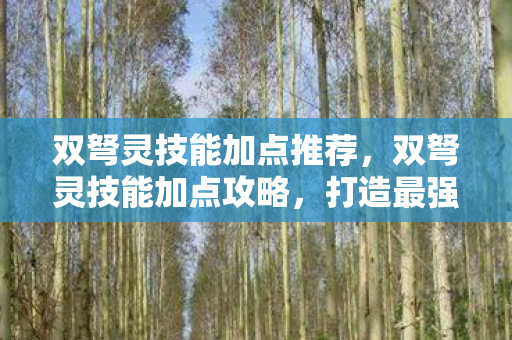 打造最强战斗力的关键图片