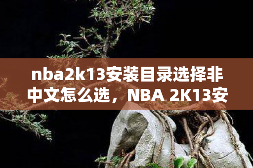 nba2k13安装目录选择非中文怎么选图片