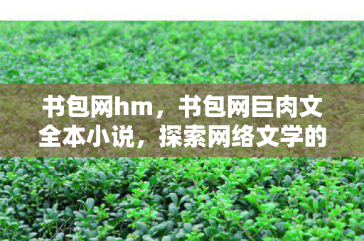 探索网络文学的无限可能图片