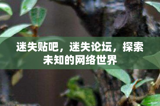 探索未知的网络世界图片