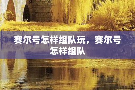 赛尔号怎样组队玩，赛尔号怎样组队
