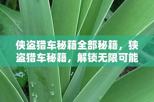 解锁无限可能的街头传奇图片