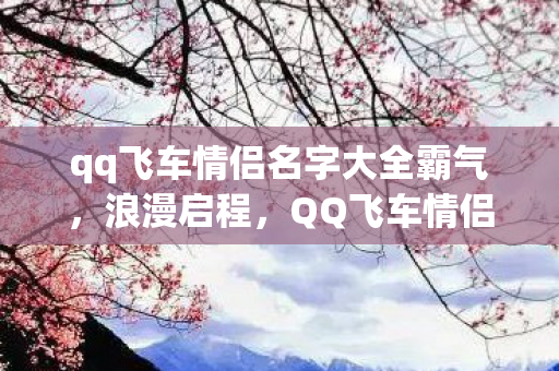 qq飞车情侣名字大全霸气图片