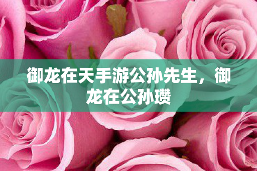 御龙在天手游公孙先生图片