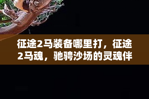 征途2马装备哪里打图片