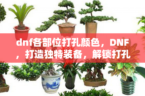 dnf各部位打孔颜色图片