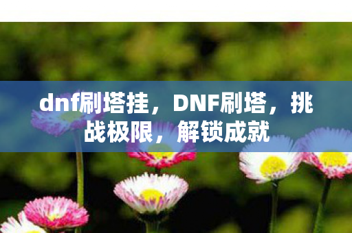 dnf刷塔挂图片