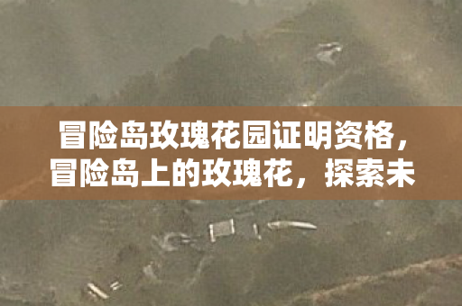 冒险岛玫瑰花园证明资格图片