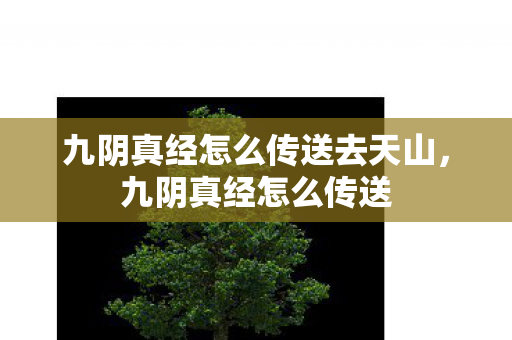 九阴真经怎么传送去天山图片