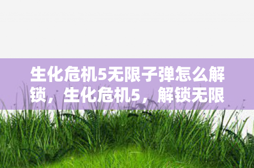 生化危机5无限子弹怎么解锁图片