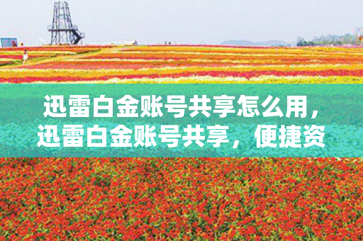 便捷资源获取与版权意识的平衡图片