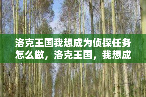 洛克王国我想成为侦探任务怎么做图片