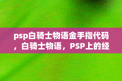 psp白骑士物语金手指代码图片