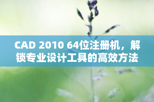 CAD 2010 64位注册机图片