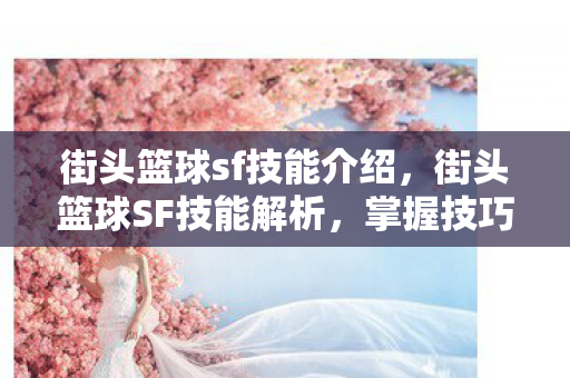 街头篮球sf技能介绍图片