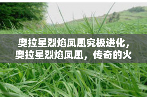 奥拉星烈焰凤凰究极进化图片