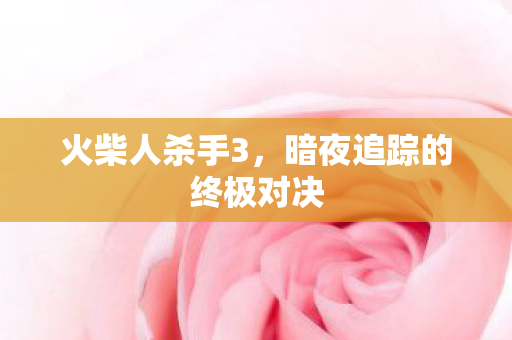 暗夜追踪的终极对决图片