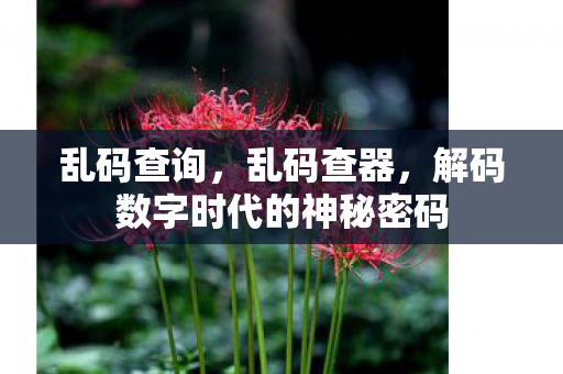 解码数字时代的神秘密码图片