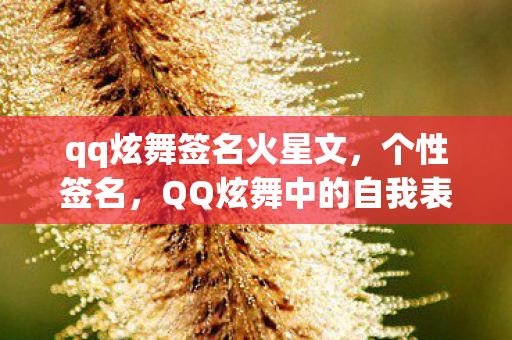 QQ炫舞中的自我表达与社交互动图片