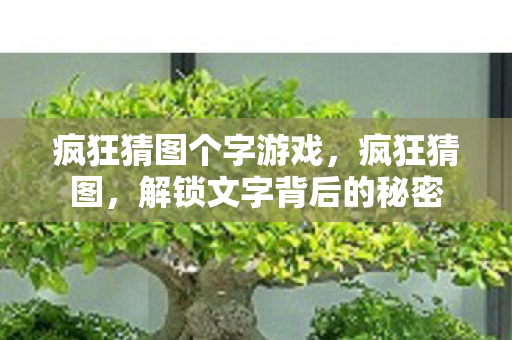 疯狂猜图个字游戏，疯狂猜图，解锁文字背后的秘密