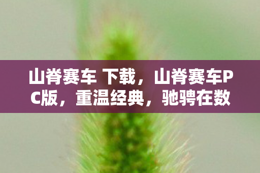 驰骋在数字赛道上的极速体验图片