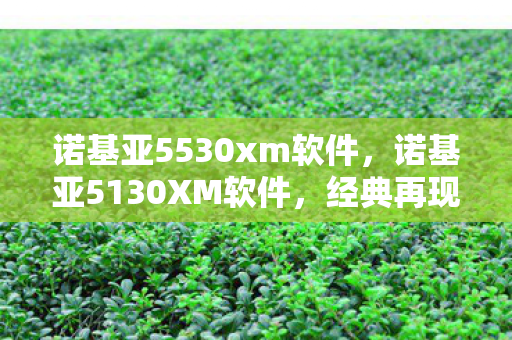 诺基亚5530xm软件图片