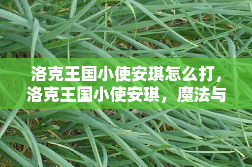 洛克王国小使安琪怎么打图片