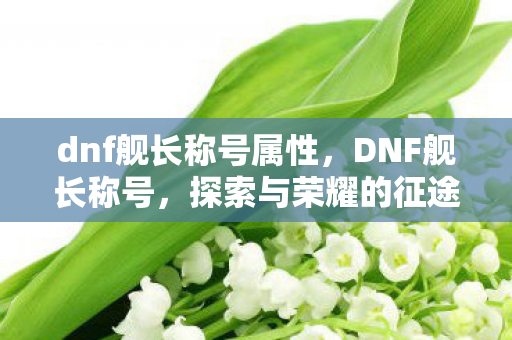 dnf舰长称号属性图片