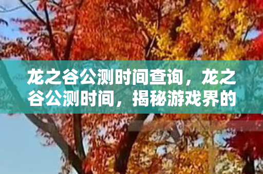 龙之谷公测时间查询图片