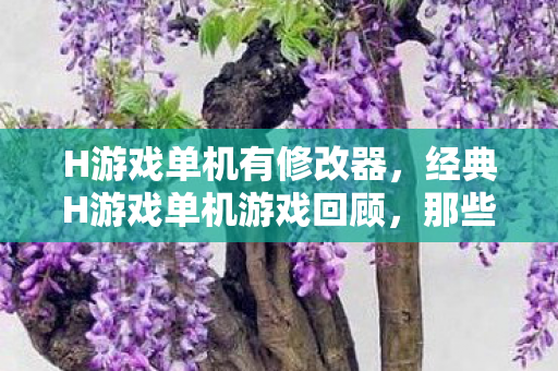 经典H游戏单机游戏回顾图片