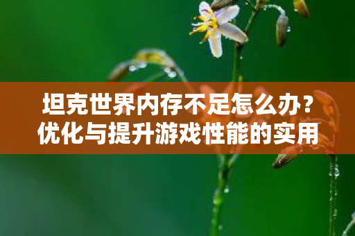 坦克世界内存不足怎么办？优化与提升游戏性能的实用建议