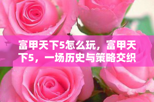 一场历史与策略交织的盛宴图片