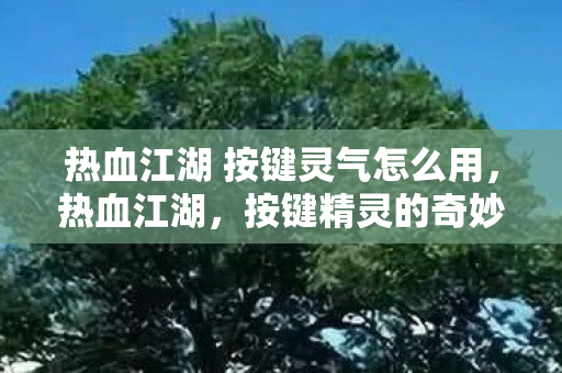 热血江湖 按键灵气怎么用图片