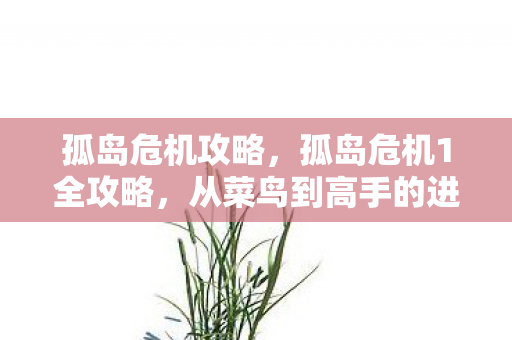 从菜鸟到高手的进化之路图片