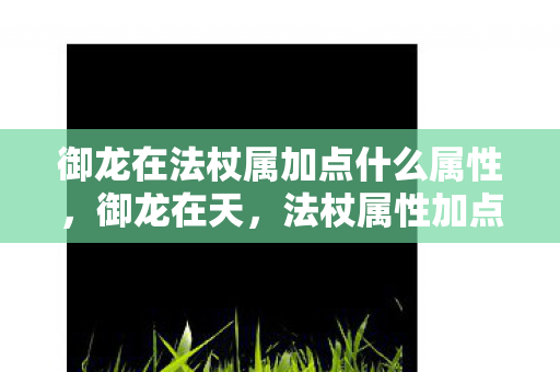 御龙在法杖属加点什么属性图片