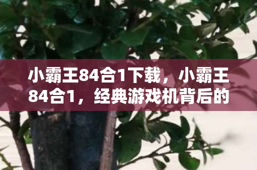 经典游戏机背后的故事图片