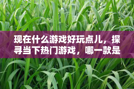 现在什么游戏好玩点儿图片
