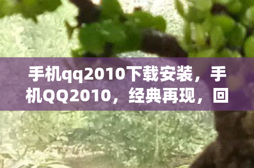 手机qq2010下载安装图片