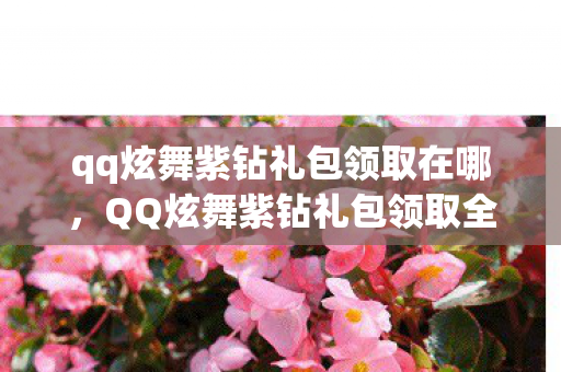 QQ炫舞紫钻礼包领取全攻略图片