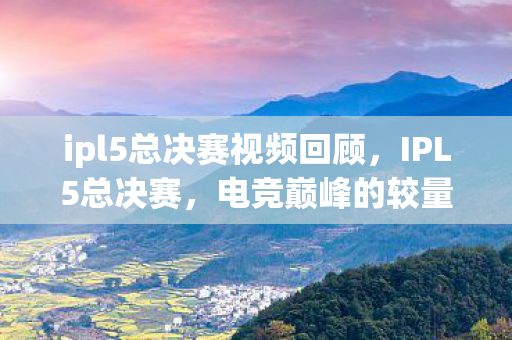ipl5总决赛视频回顾图片